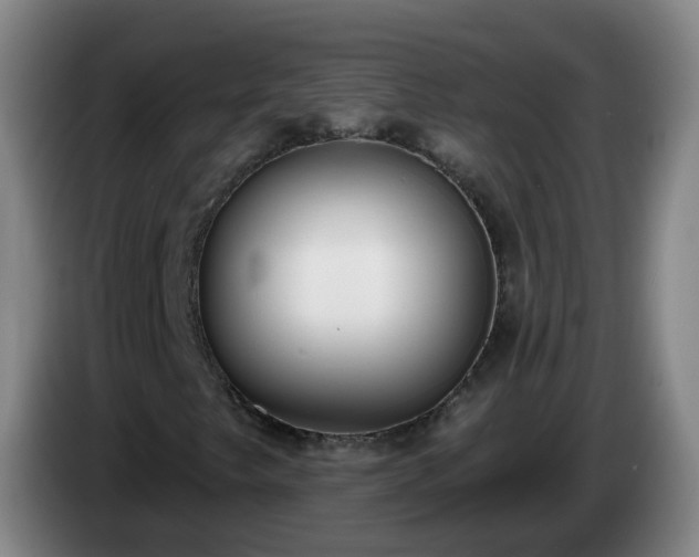 X0000085081249200703121656