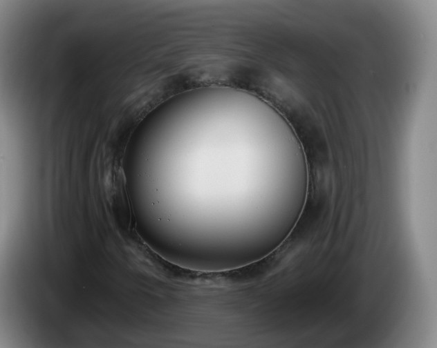 X0000085081250200703121656