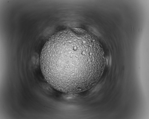 X0000085081251200703121656