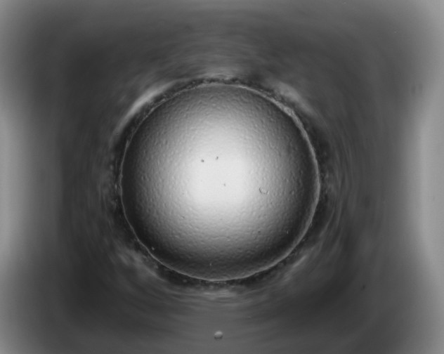 X0000085081256200703121655