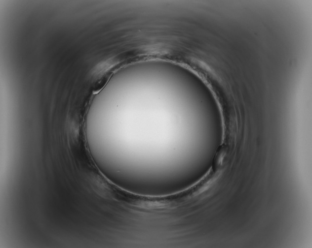 X0000085081257200703121655