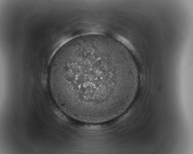 X0000085081260200703121655