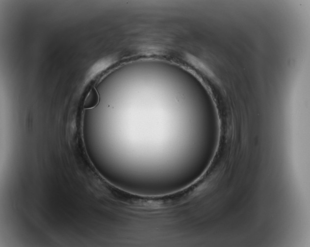 X0000085081261200703121655