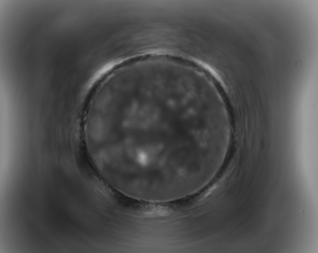 X0000085081263200703121655