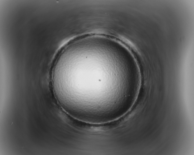 X0000085081264200703121655