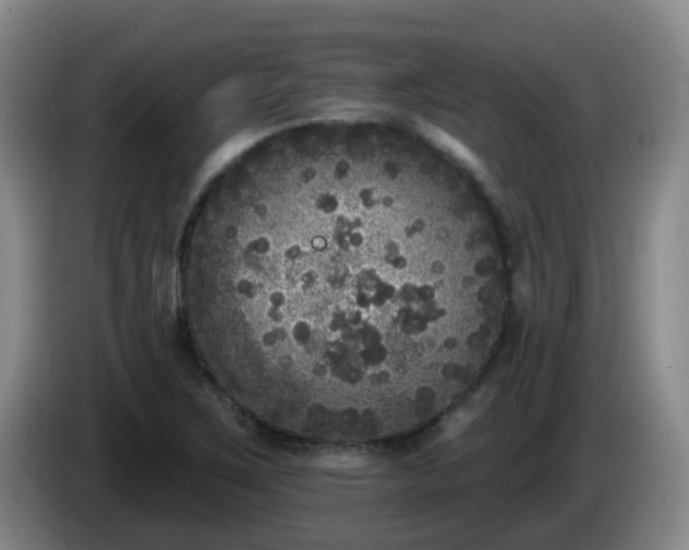 X0000085081267200703121655