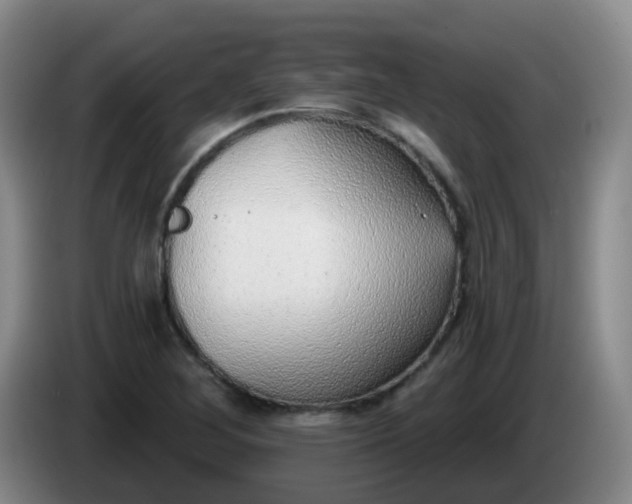 X0000085081268200703121655