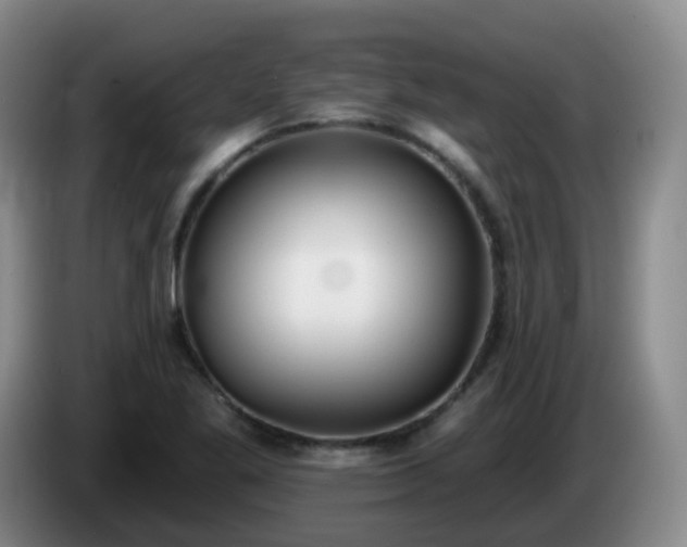 X0000085081269200703121655