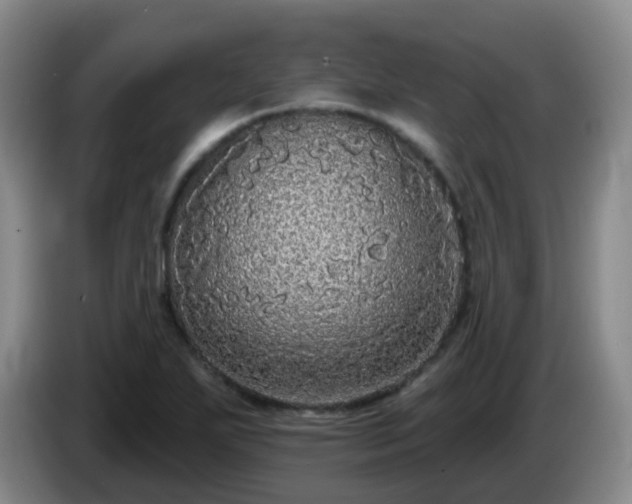 X0000085081271200703121655