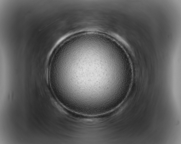 X0000085081272200703121655