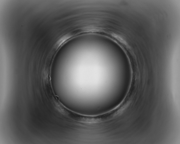 X0000085081273200703121655