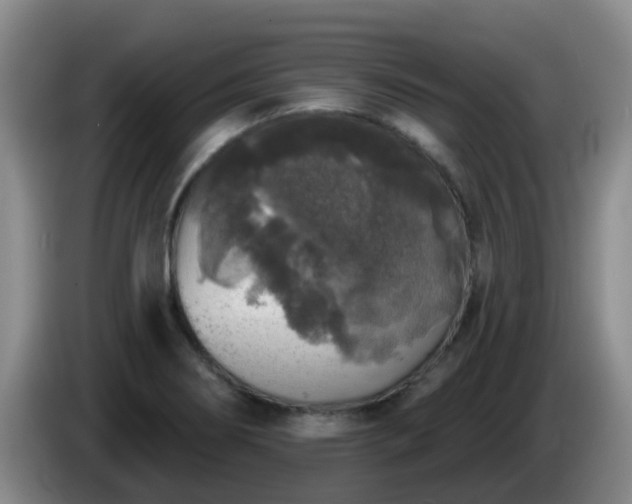 X0000085081274200703121655