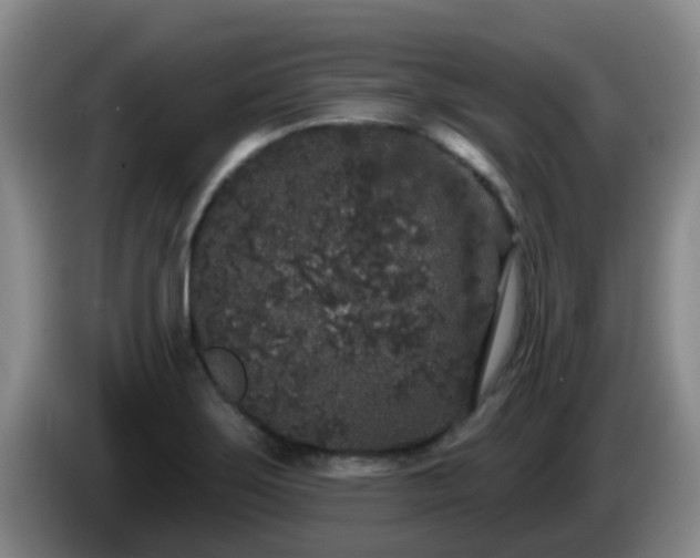 X0000085081275200703121655