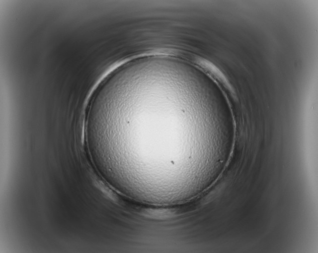 X0000085081276200703121655