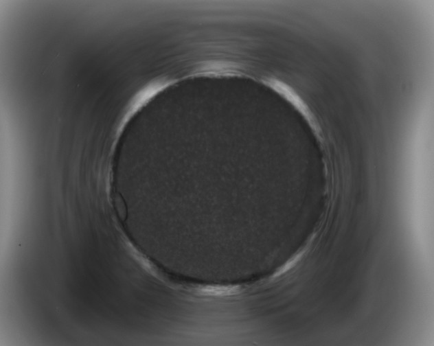 X0000085081277200703121655