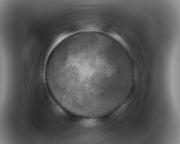 X0000085081278200703121655