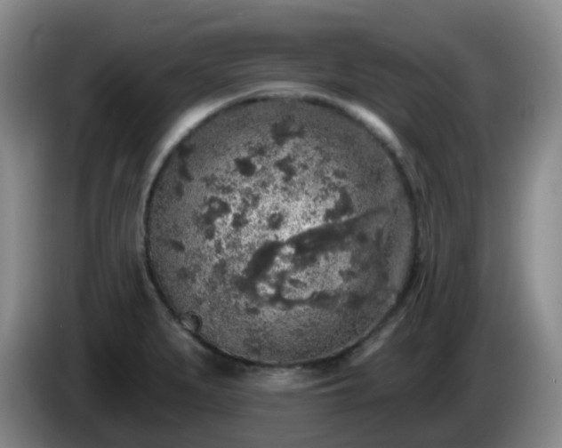 X0000085081279200703121655