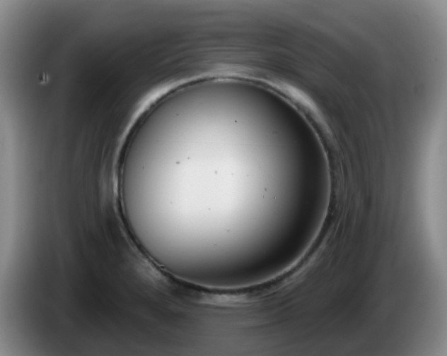 X0000085081280200703121655