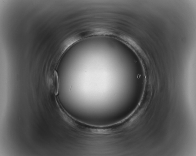 X0000085081281200703121655