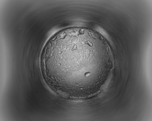 X0000085081283200703121655