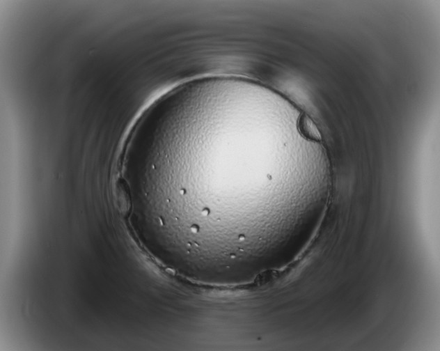 X0000085081284200703121655