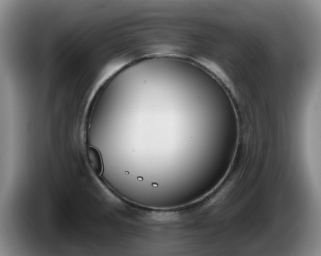 X0000085081285200703121655