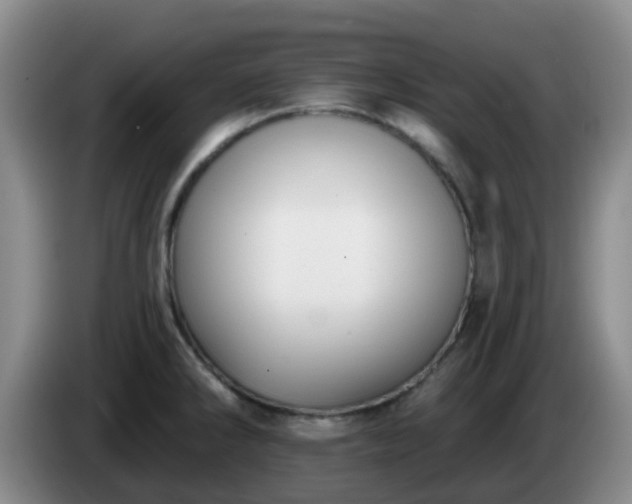 X0000085081286200703121655