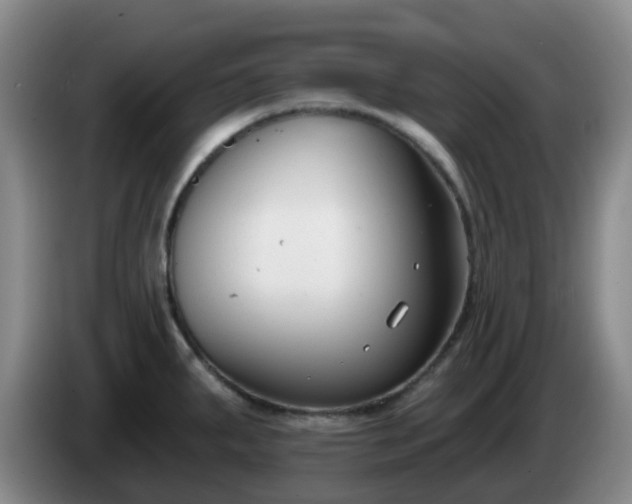 X0000085081287200703121655