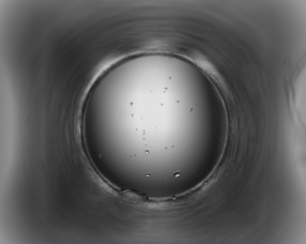 X0000085081288200703121655