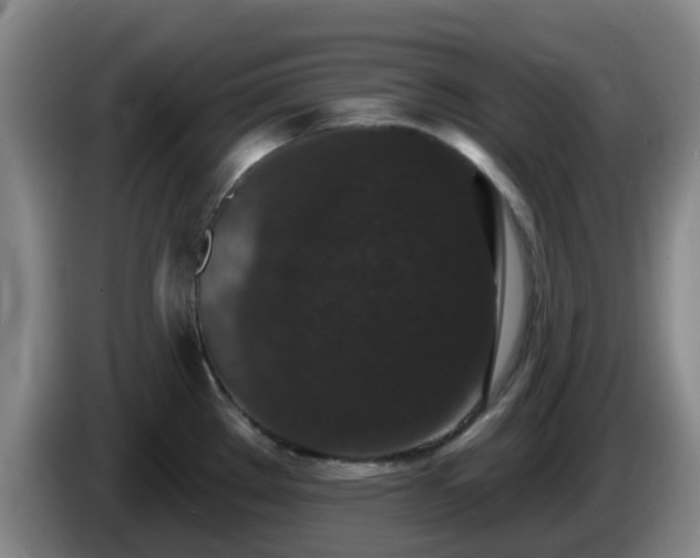 X0000085081289200703121655