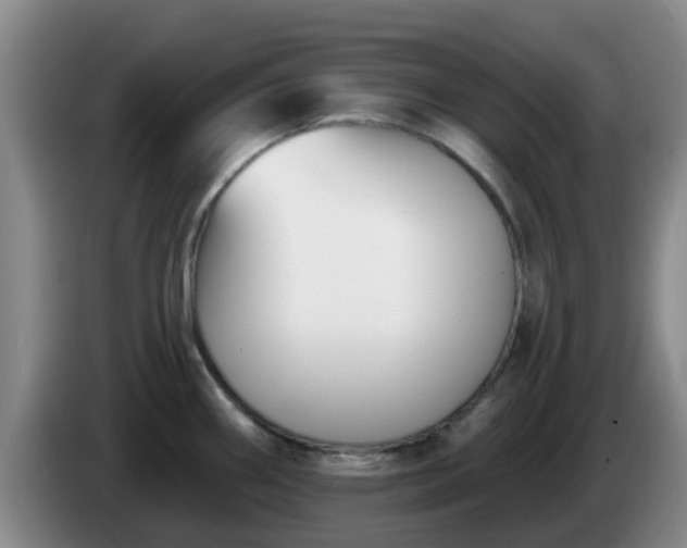 X0000085081290200703121655