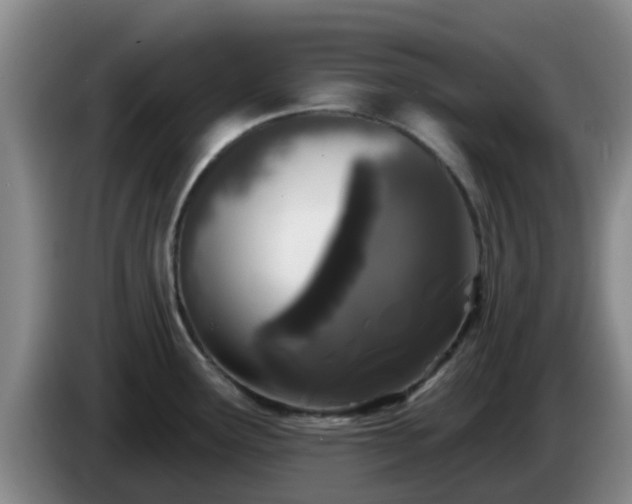 X0000085081291200703121655