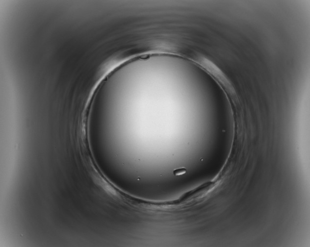 X0000085081292200703121655