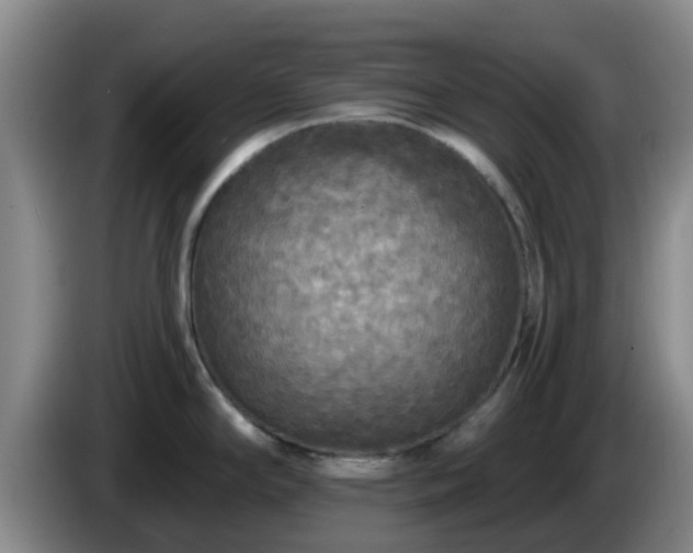 X0000085081294200703121655