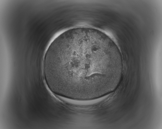 X0000085081295200703121655