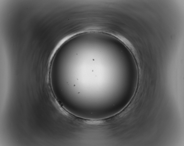 X0000085081296200703121655