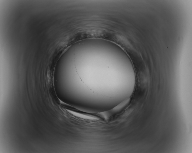 X0000085081298200703121654