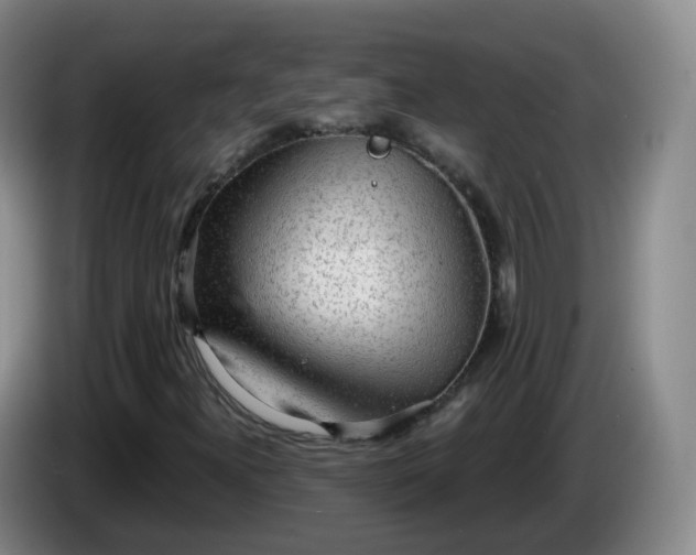 X0000085081300200703121654