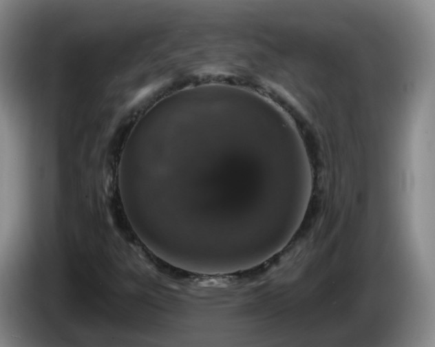 X0000085081303200703121654