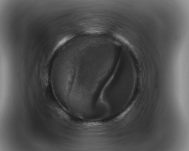 X0000085081306200703121654