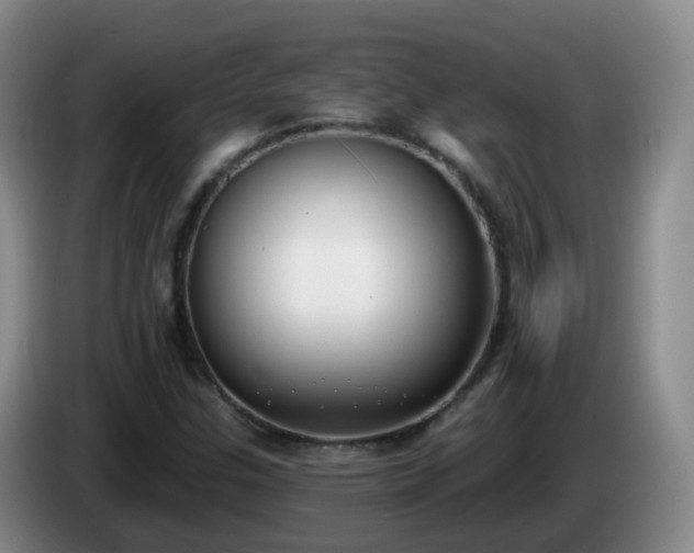 X0000085081307200703121654