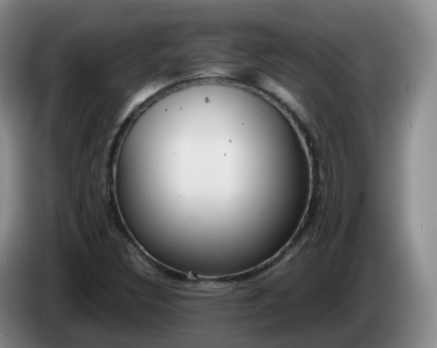 X0000085081308200703121654