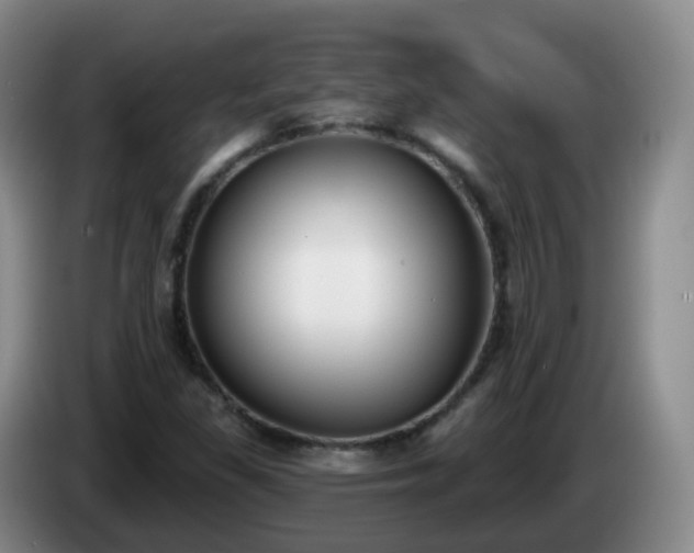 X0000085081309200703121654