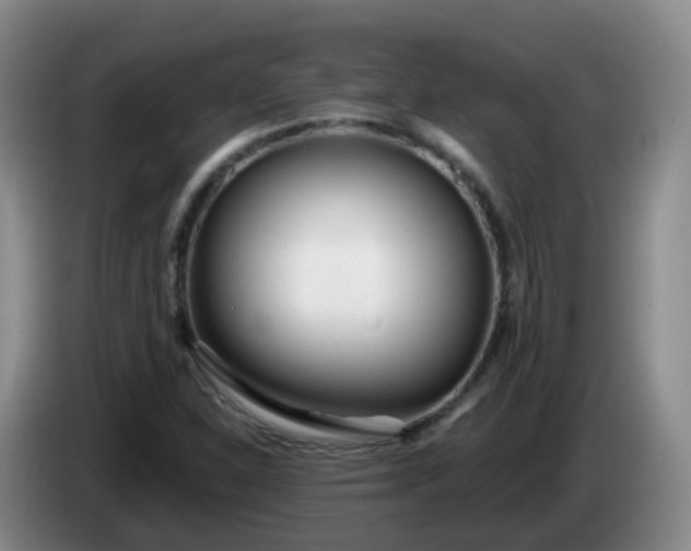 X0000085081310200703121654