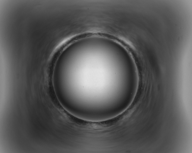 X0000085081311200703121654