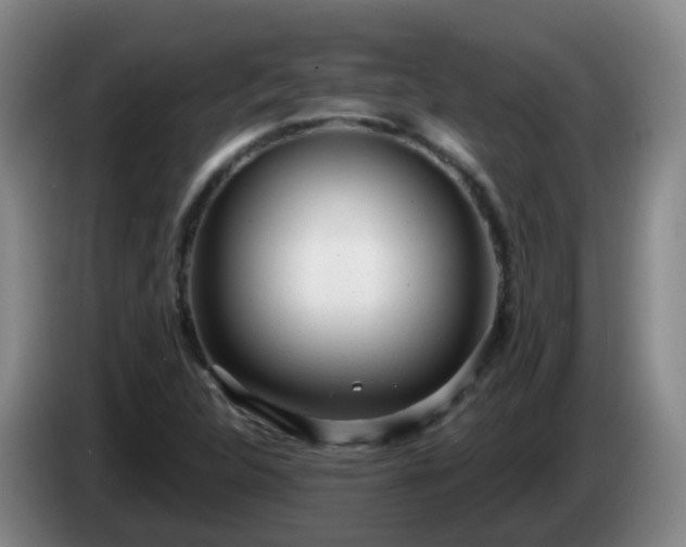 X0000085081312200703121654