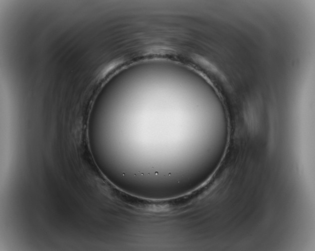 X0000085081313200703121654