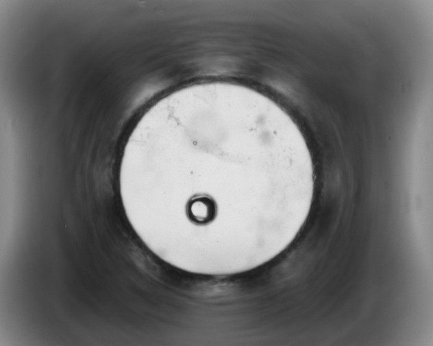 X0000085081314200703121655