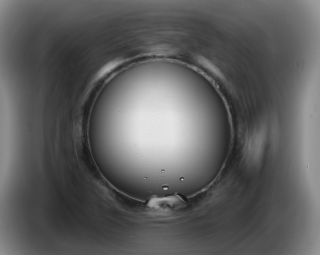 X0000085081315200703121655