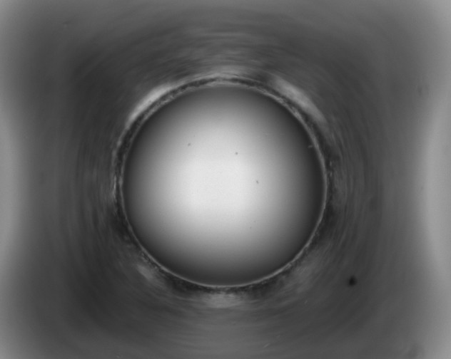 X0000085081316200703121655